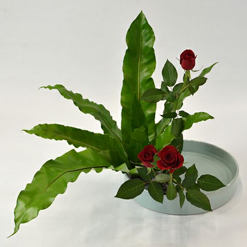 いけばな花材<谷渡り・バラ>