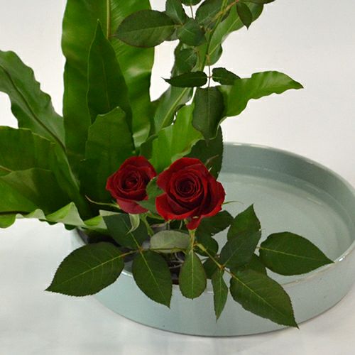 いけばな花材<谷渡り・バラ>