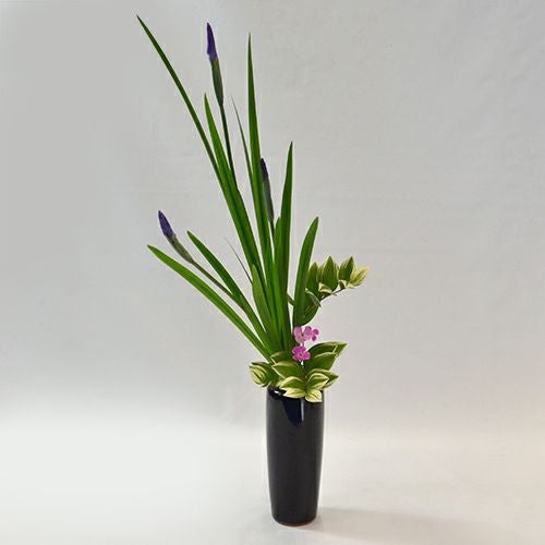 初夏のいけばな花材<花菖蒲・鳴子百合・撫子>