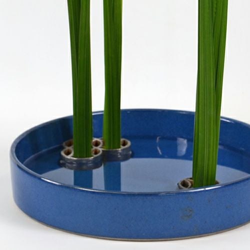 初夏のいけばな花材<花菖蒲一種・三株>