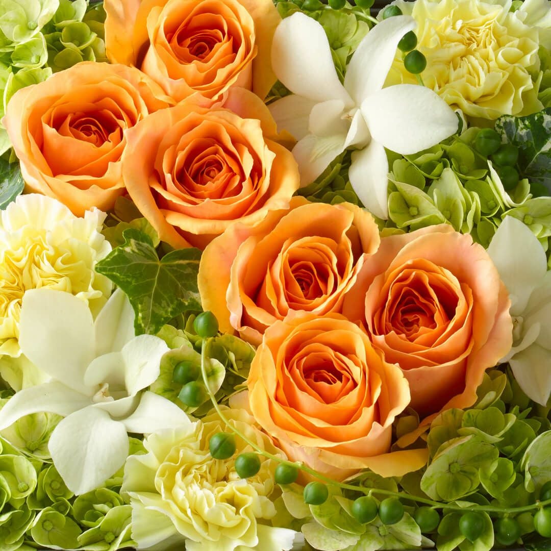 ボックスアレンジメント＜フルール・ドゥ・パティシエ（ネーブル）＞