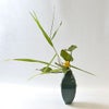 河骨いけばな花材＜河骨・葦＞