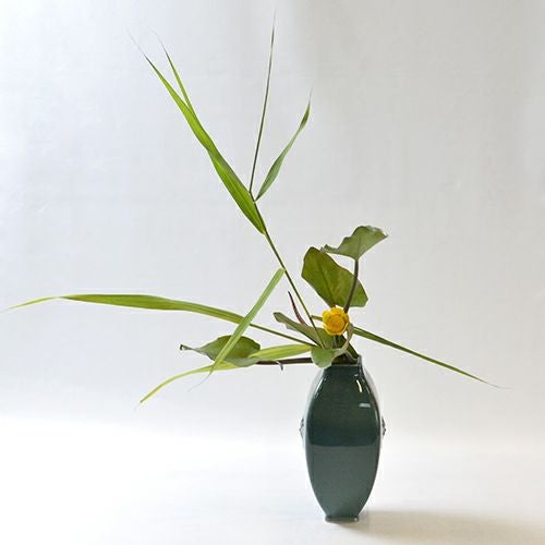 河骨いけばな花材＜河骨・葦＞
