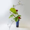 蓮いけばな花材＜野薔薇・蓮葉・鶏頭＞