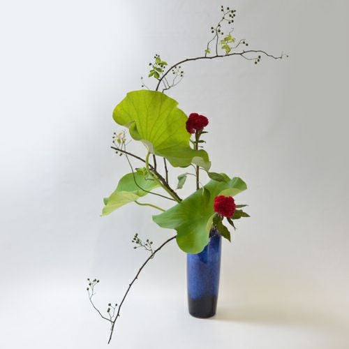 蓮いけばな花材＜野薔薇・蓮葉・鶏頭＞