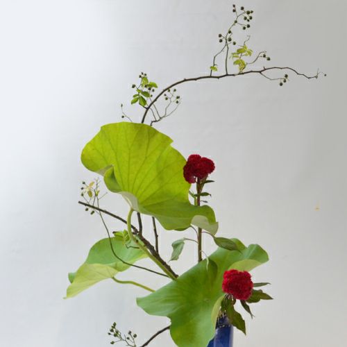 蓮いけばな花材＜野薔薇・蓮葉・鶏頭＞