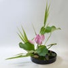 蓮いけばな花材＜蓮花一輪・葉一枚・巻葉三枚・睡蓮・葦＞