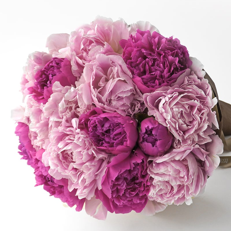 ピンクの芍薬の花束（15本）