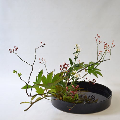 晩秋のいけばな花材＜野薔薇・紅葉木苺・小菊＞