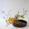 晩秋のいけばな花材＜野薔薇・紅葉木苺・小菊＞
