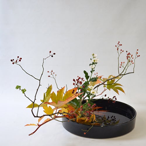 晩秋のいけばな花材＜野薔薇・紅葉木苺・小菊＞