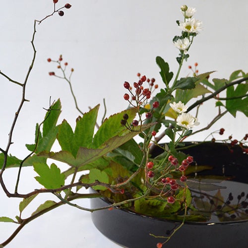 晩秋のいけばな花材＜野薔薇・紅葉木苺・小菊＞