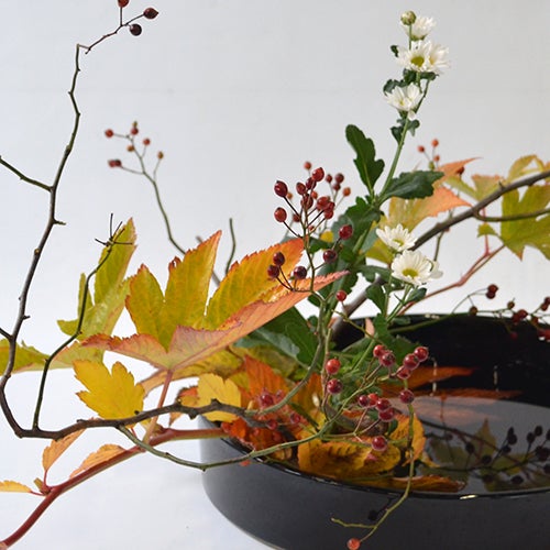 晩秋のいけばな花材＜野薔薇・紅葉木苺・小菊＞