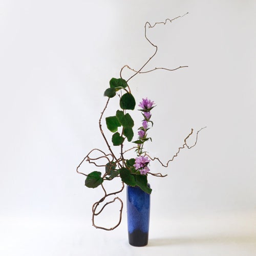 秋のいけばな花材＜小桑蔓・丸葉万作・竜胆＞