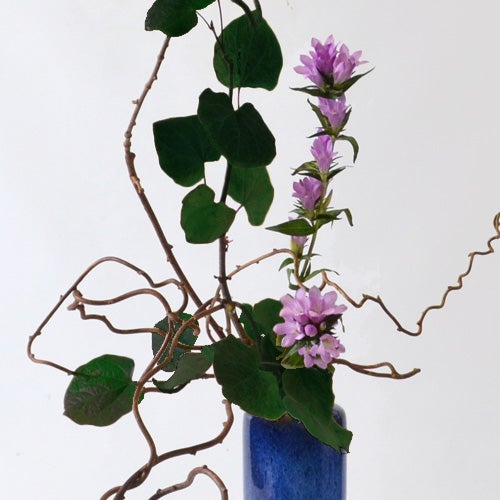秋のいけばな花材＜小桑蔓・丸葉万作・竜胆＞