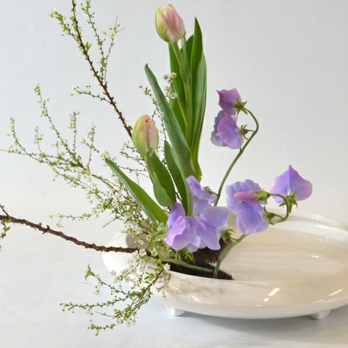 早春いけばな花材＜雪柳・八重咲チューリップ・スイートピー＞