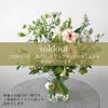 季節の花の花瓶活け