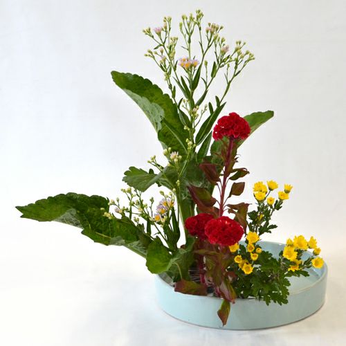 紫苑いけばな花材＜紫苑・鶏頭・小菊＞
