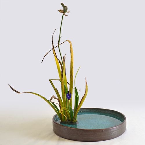 晩秋のいけばな花材＜晩秋の燕子花＞