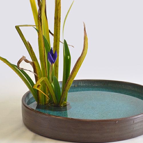 晩秋のいけばな花材＜晩秋の燕子花＞