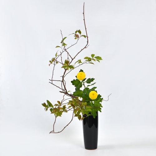 晩秋のいけばな花材＜小桑蔓・紅葉令法・ピンポンマム＞