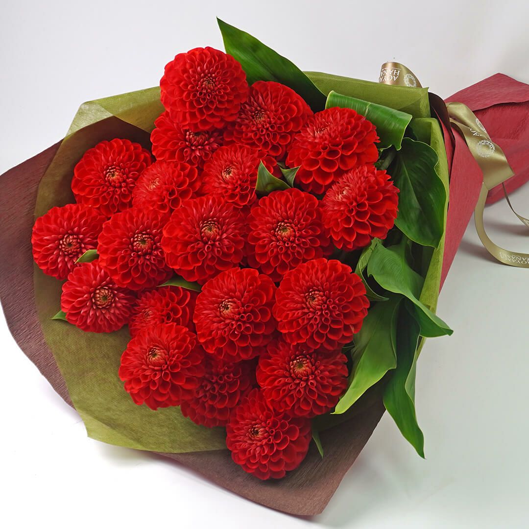 お好みの本数指定】赤いダリアの花束｜青山花茂本店
