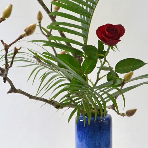 早春いけばな花材＜白木蓮・アレカヤシ・赤バラ＞