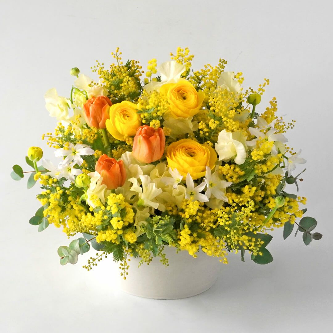 ミモザのアレンジメント＜コルティーナ＞｜青山花茂本店
