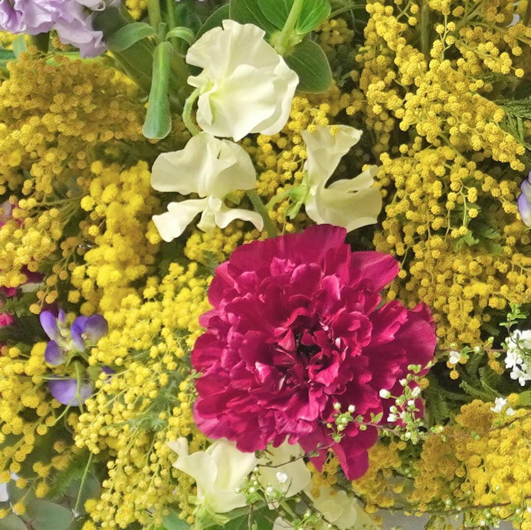 ミモザのアレンジメント＜エスペランサ＞｜青山花茂本店