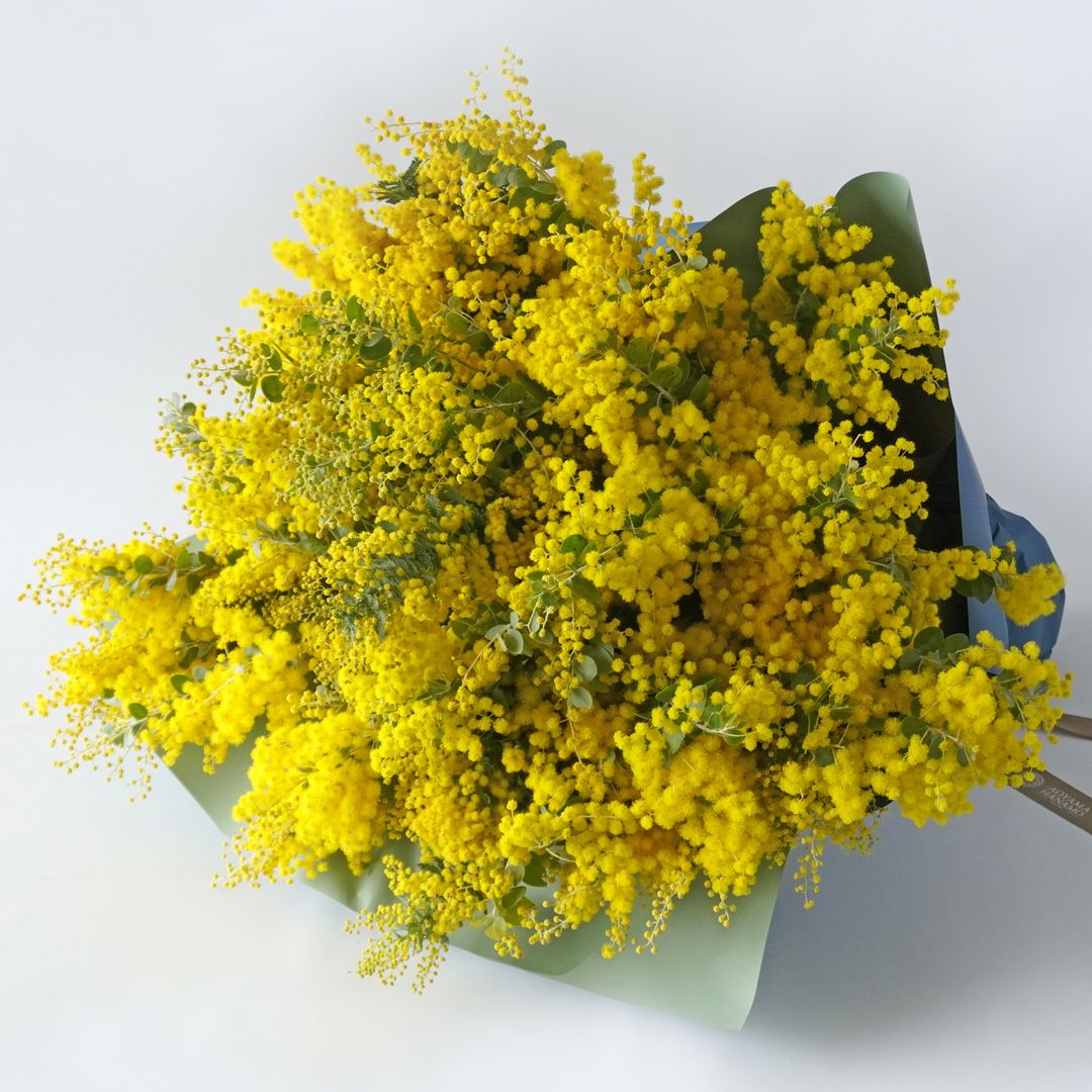 000000002963-01.jpg?size=m&w=