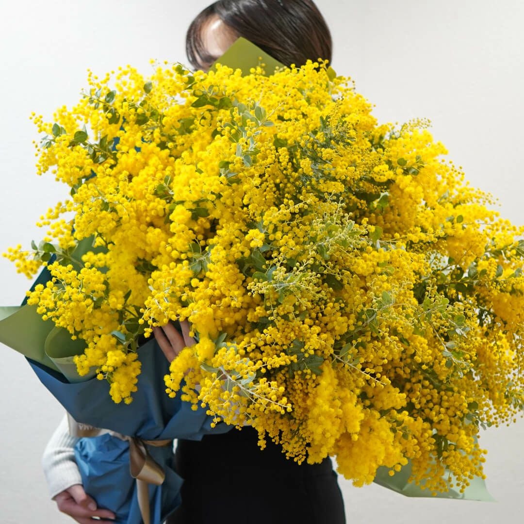 ミモザの花束（20本）｜青山花茂本店