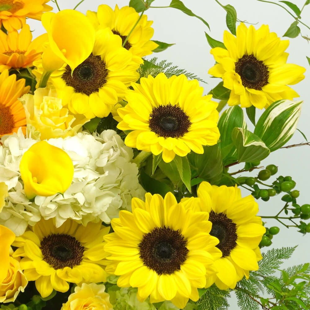 ヒマワリとカラーのアレンジメント