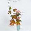 晩秋のいけばな花材＜赤蔓・紅葉木苺・菊＞
