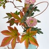 晩秋のいけばな花材＜赤蔓・紅葉木苺・菊＞