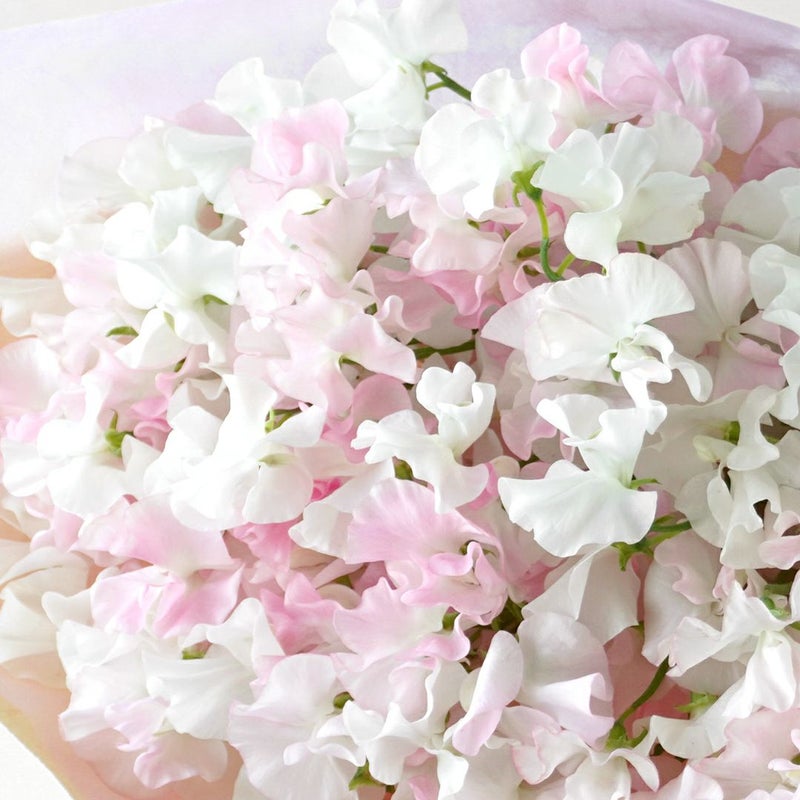 白とピンクのスイートピーの花束