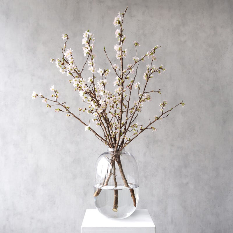 季節の枝もの定期便