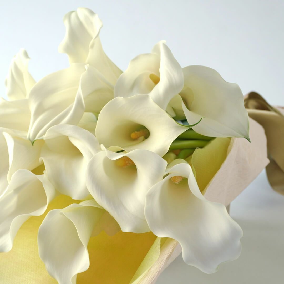 お好みの本数指定】白いカラーの花束｜青山花茂本店