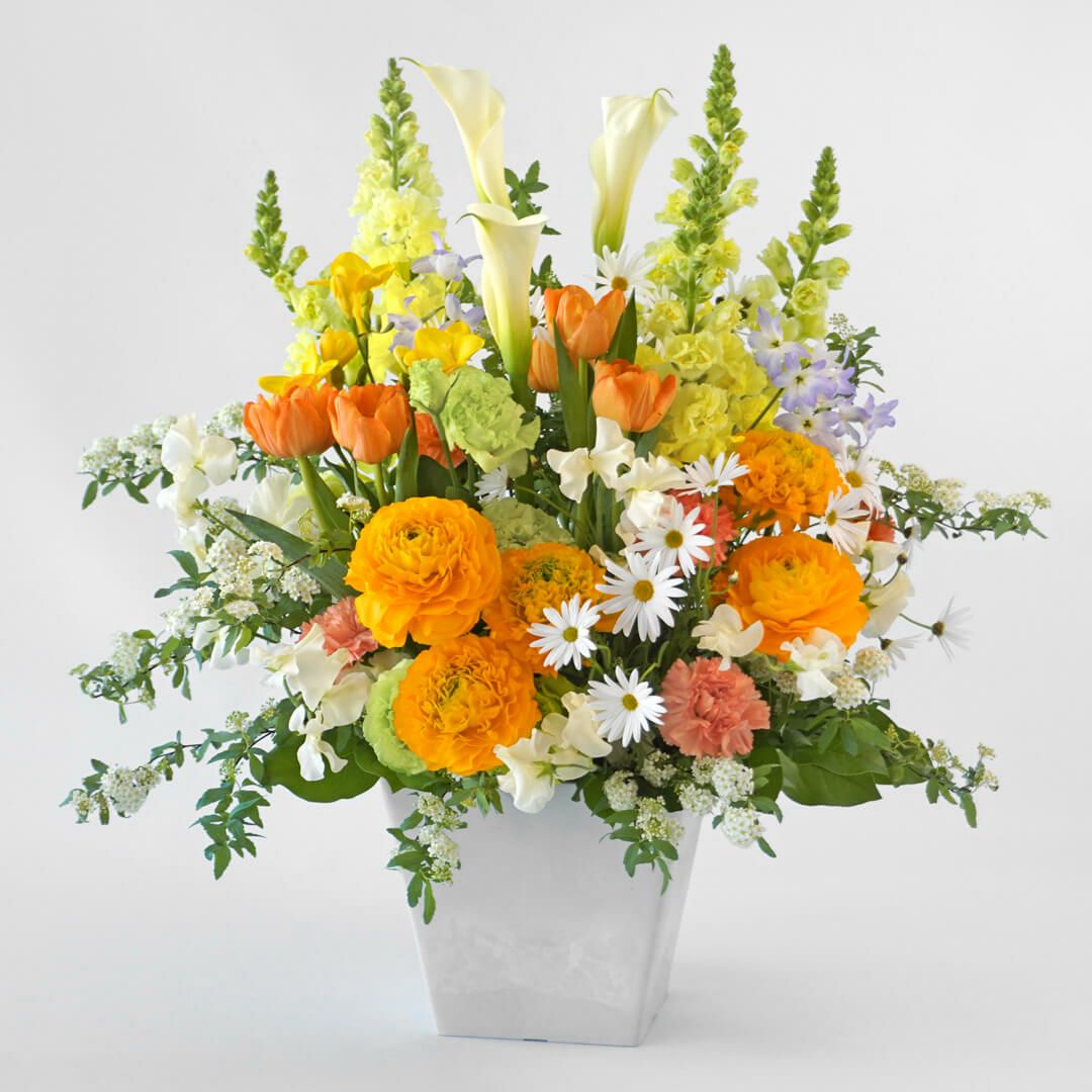 チューリップの花束・アレンジメント・鉢植え｜フラワーギフト通販の