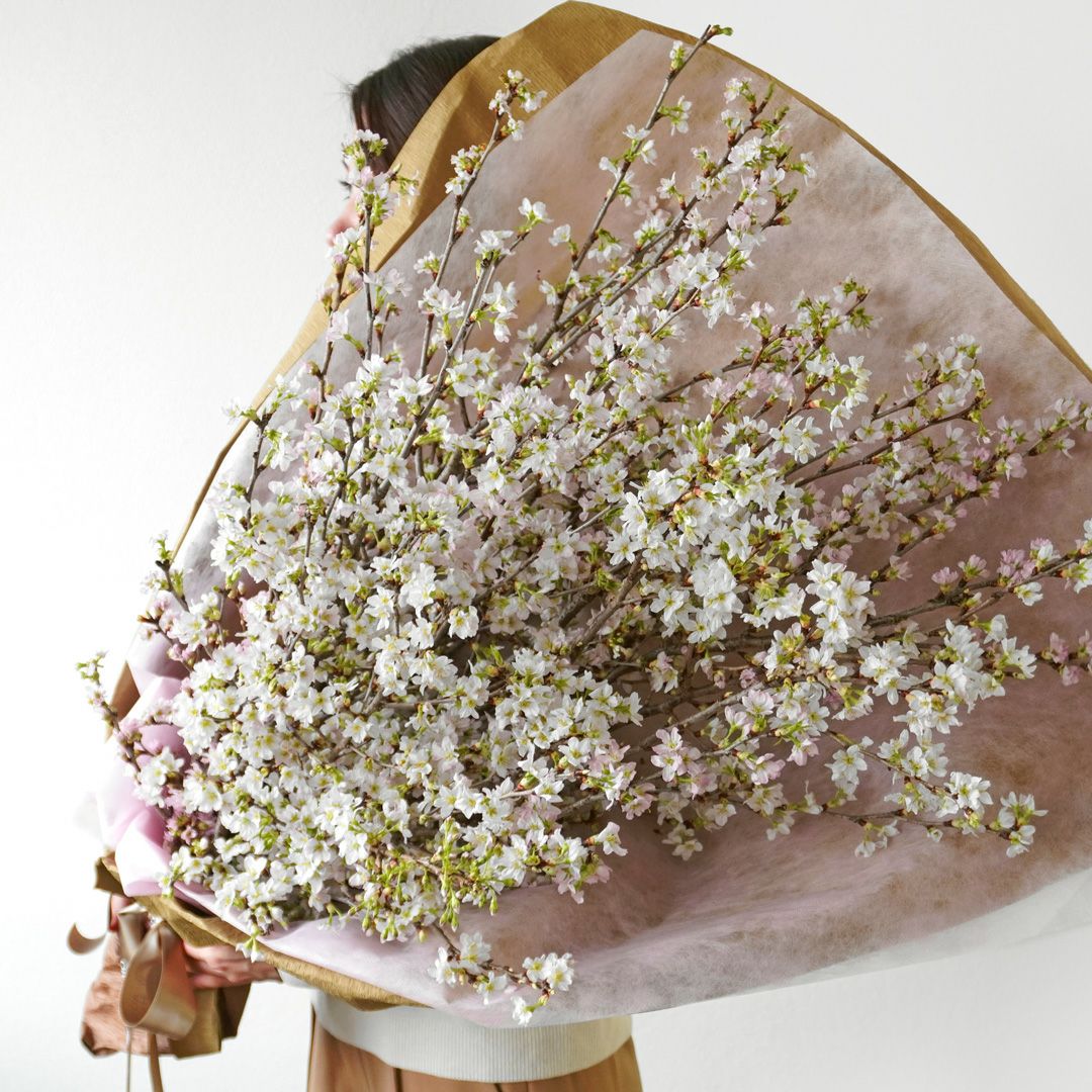 お好みの本数指定】桜の花束｜青山花茂本店