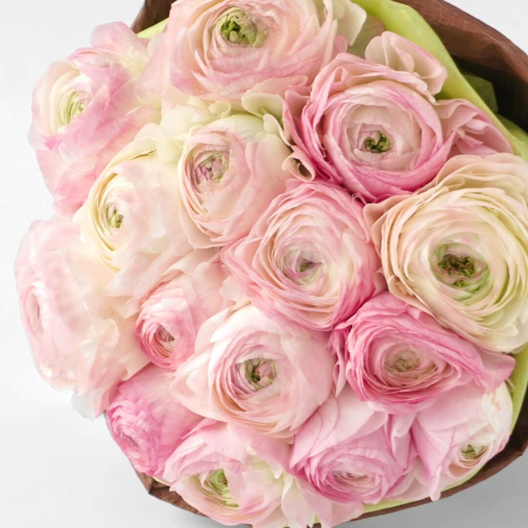 お好みの本数指定】ピンクのラナンキュラスの花束｜青山花茂本店