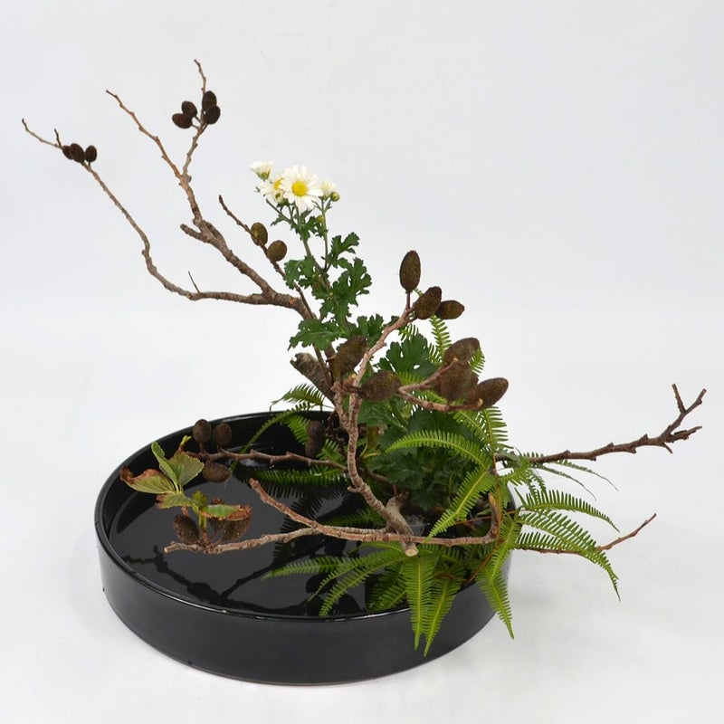 秋のいけばな花材＜榛の木・小菊・山しだ＞