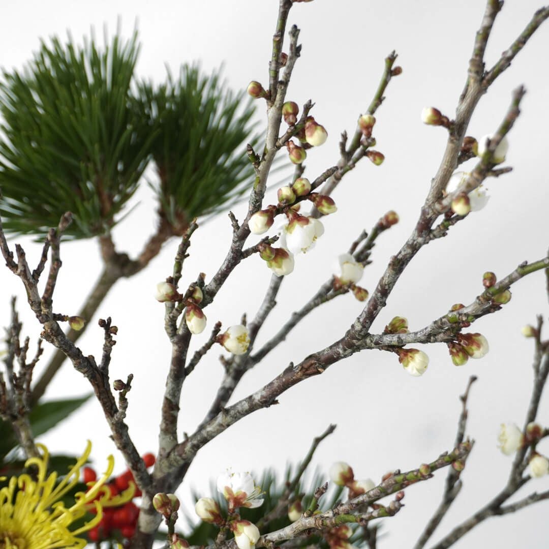 【お正月・お年賀】三光松やピンクのマムのアレンジメント