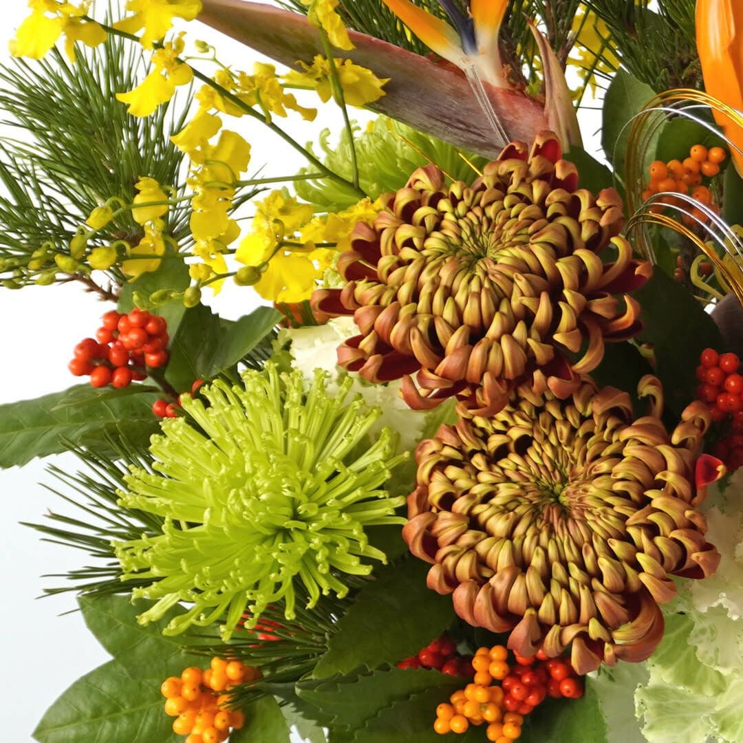 【お正月・お年賀】ストレチアやオレンジの複色のマムのアレンジメント