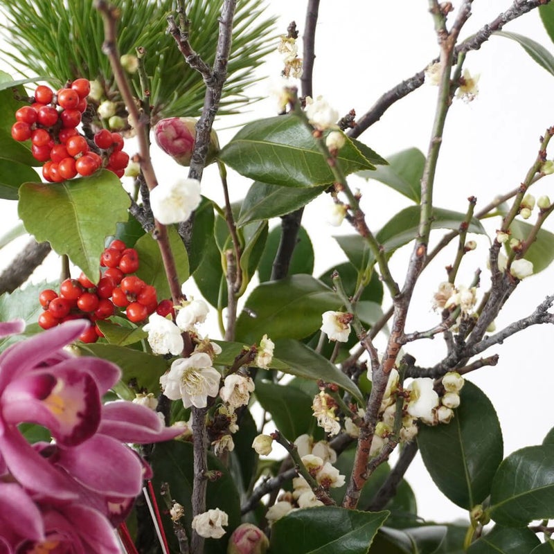 【お正月・お年賀】ピンクのシンビジュームや赤いマムのアレンジメント