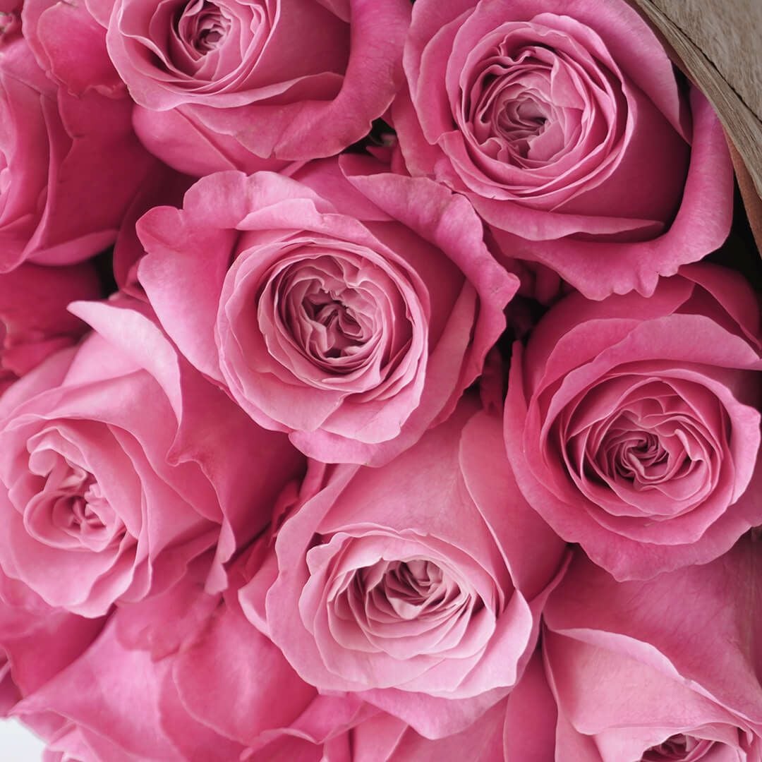 【母の日】鮮やかなピンクのバラの花束