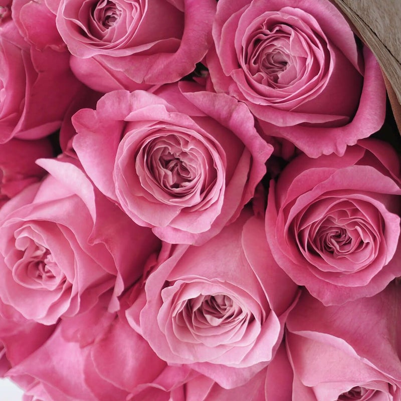 【母の日】鮮やかなピンクのバラの花束