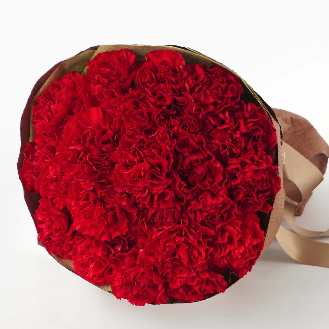 【母の日】赤いカーネーションの花束