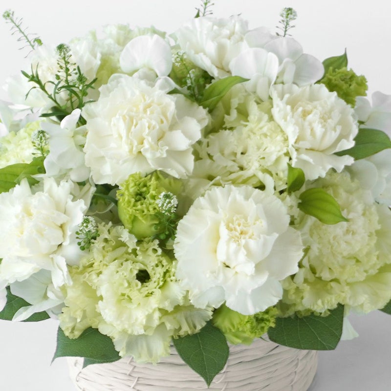 【母の日・お供え】白いカーネーションと淡いグリーンのトルコキキョウのお供えアレンジメント