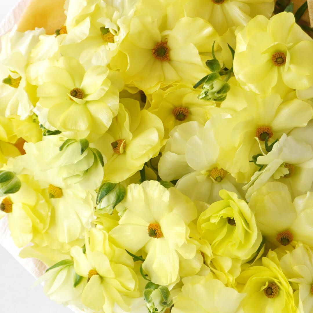 ラナンキュラス・ラックスの花束｜青山花茂本店