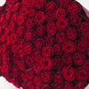 赤いバラ108本の花束